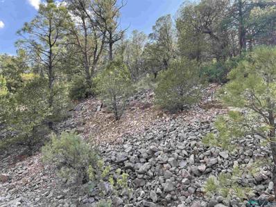 320 Shallow Creek Road, Timberon, NM 88350 - #: 20215139