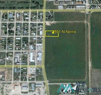 501 Norris Street, Clovis, NM 88101 - #: 20222112