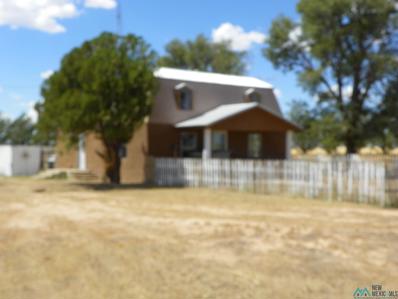2436 State Road 108, Texico, NM 88135 - #: 20233356