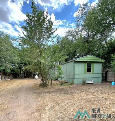 10753 Highway 152, Hillsboro, NM 88042 - #: 20233843