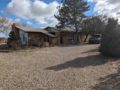 513 New York Drive, Portales, NM 88130 - #: 20236124