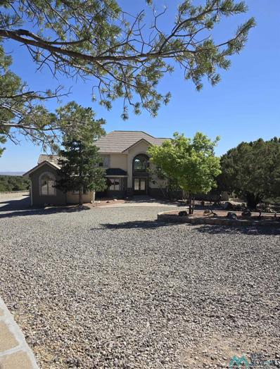 10 Oxbow Drive, Silver City, NM 88061 - #: 20241310