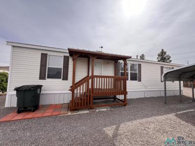 1100 Mescalero Drive, Truth Or Consequences, NM 87901 - #: 20241459