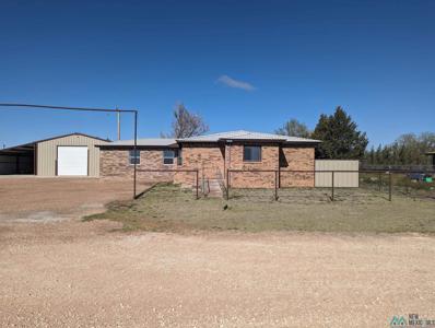 508 Baker Street, Portales, NM 88130 - #: 20242074