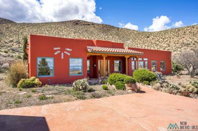 27 Mangas Trail, Hillsboro, NM 88042 - #: 20242216