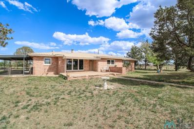 7801 Nm 206 Highway, Portales, NM 88130 - #: 20242357