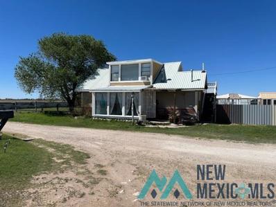 259 S Roosevelt Road Z Road, Portales, NM 88130 - #: 20242534