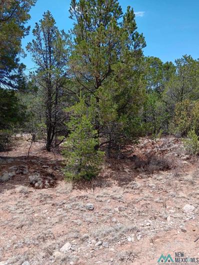 Lot 53 Johnnys Drive, Timberon, NM 88350 - #: 20242633