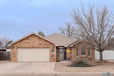 2001 1\/2 Beech Street, Portales, NM 88130 - #: 20243924