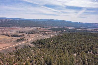 TBD US FOREST RD #1008, Gallina, NM 87017 - #: 202201816