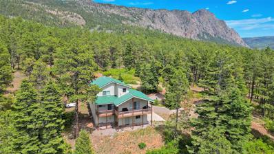 109 A Brass Cap Road, Chama, NM 87520 - #: 202402283