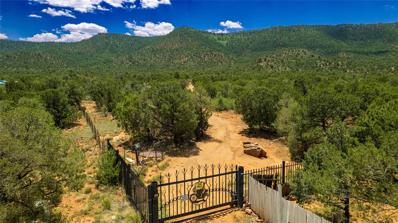 90 Metzger Drive, San Jose, NM 87565 - #: 202402535