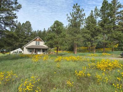 150 Forest Service Road 124, Cebolla, NM 87518 - #: 202402695