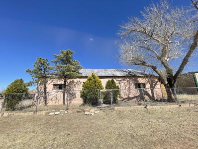 503 S Pine Street, Magdalena, NM 87825 - MLS#: 1032536