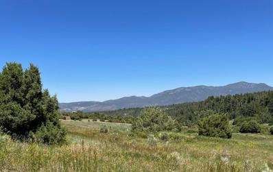 Forest Road 160, Chamisal, NM 87521 - #: 1036870