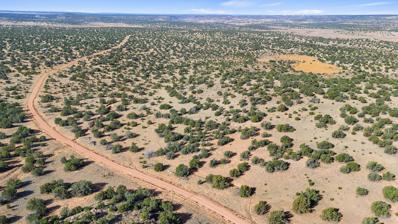 1779 Lost Saddle Loop, Santa Rosa, NM 88435 - #: 1044838