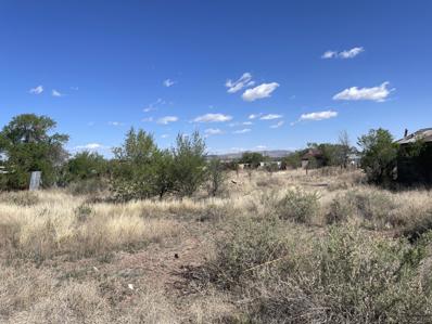 903 Third Street, Magdalena, NM 87825 - MLS#: 1062389