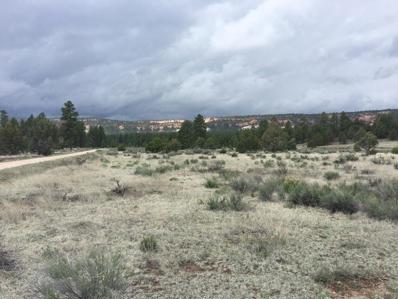 Lot 2 East Elk Road, Ramah, NM 87321 - MLS#: 1064006