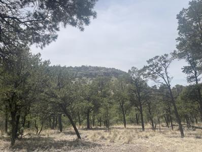 Lot 30 Hop Canyon, Magdalena, NM 87825 - MLS#: 1064573