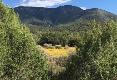 39 Patterson Canyon, Magdalena, NM 87825 - MLS#: 1064782