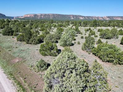 Lot 15 Buttonwood Drive, Ramah, NM 87321 - MLS#: 1065340