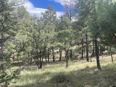 9.36 ACRES END OF HOP CANYON, Magdalena, NM 87825 - MLS#: 1071102