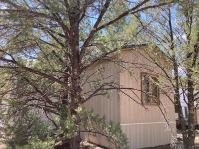 1286 W NEW MEXICO HIGHWAY 612 Highway, Thoreau, NM 87323 - #: 1071371