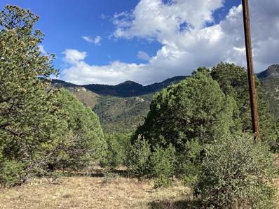 19.81 AC LOWER PATTERSON CANYON, Magdalena, NM 87825 - MLS#: 1071422