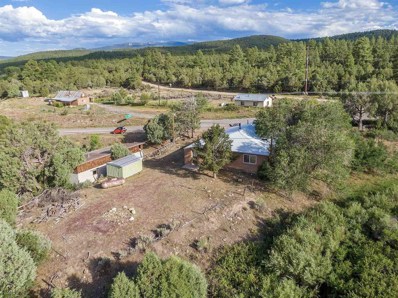 1705 State Highway 75, Vadito, NM 87579 - #: 108776