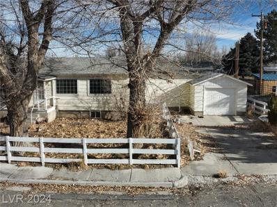 371 11th Street, Other, NV 89822 - #: 2558993