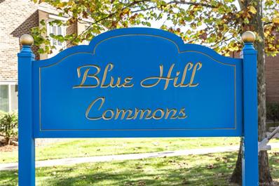 9 Blue Hill Commons Drive Unit A, Orangetown, NY 10962 - #: H6153573