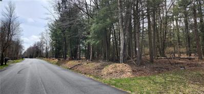 Rose Valley Road, Thompson, NY 12701 - #: H6184833