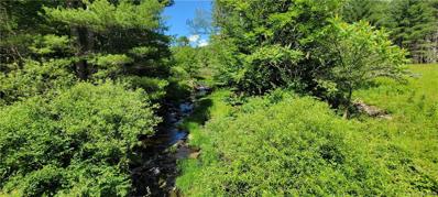 Buff Rd, Cochecton, NY 12726 - MLS#: H6197729