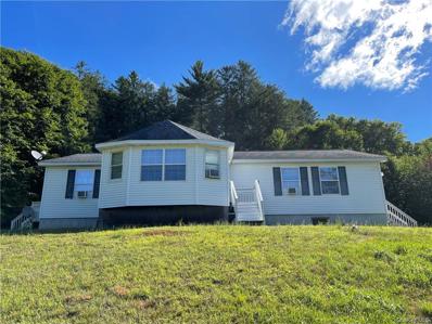 4174 State Route 17B, Delaware, NY 12723 - #: H6204333
