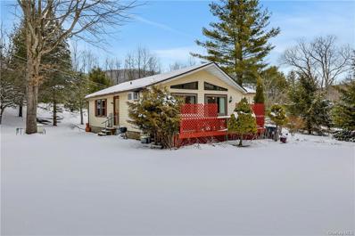 60 Grandview Acres Rd, Phoenicia, NY 12464 - #: H6235520