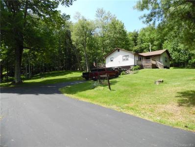 118 Bridgeville Rd, Monticello, NY 12701 - #: H6309281