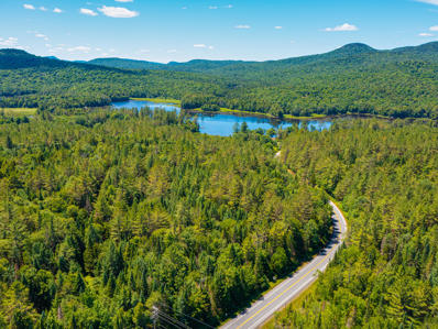 Adirondack Trl Unit 00, Long Lake, NY 12847 - #: 202295