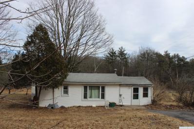 272 W Silver Spur, Purling, NY 12470 - #: 140982