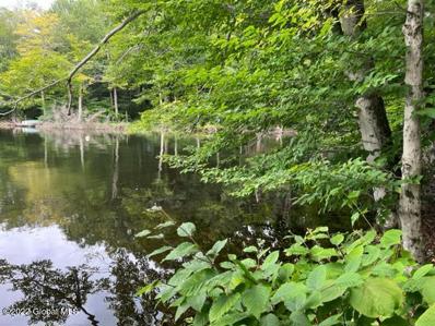 155 N Shore Rd Peck Lk Unit Lot 155, Gloversville, NY 12078 - MLS#: 202318426