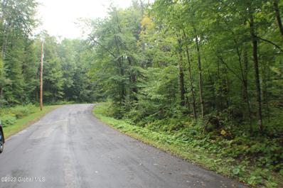 Arrowhead Rd, Piseco, NY 12139 - #: 202325009