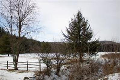 265 Clendening (Lot 13) Road, Harpursville, NY 13787 - #: 324460