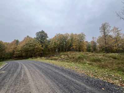 Glenmeal Rd, Canton, NY 13617 - #: 50493