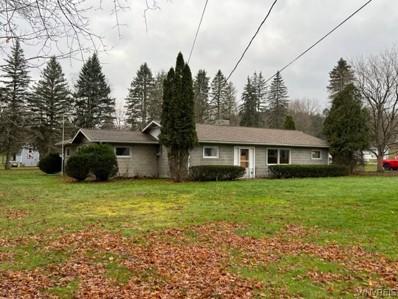 63 E Mill Street, Castile, NY 14427 - #: B1453199