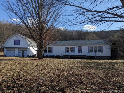 3121 Morgan Hollow Road, Allegany, NY 14706 - #: B1455385