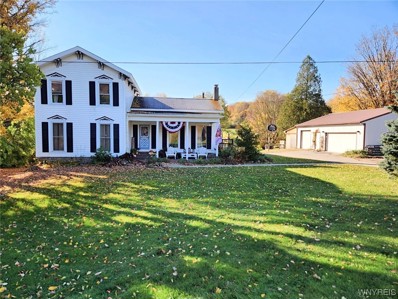 9143 E Otto Springville Rd, East Otto, NY 14729 - #: B1506930