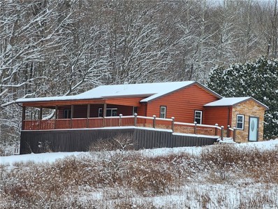 7828 Meyer Hill Rd, East Otto, NY 14729 - #: B1516282