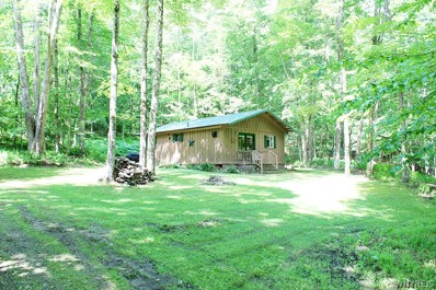 3961 Pumpkin Hollow Rd, Allegany, NY 14706 - #: B1547593