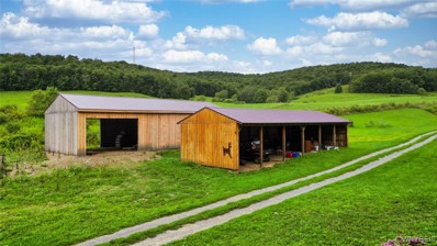 4217 Ford Hollow Rd, Allegany, NY 14706 - #: B1558171