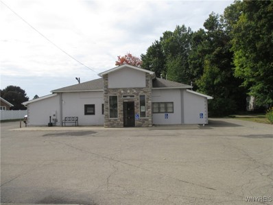 10770 Gowanda State Rd, North Collins, NY 14111 - #: B1568442