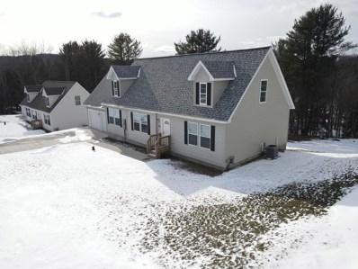 40 Scotch Pine Ln, Erin, NY 14838 - #: IB403908